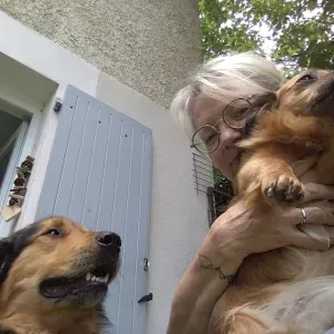 PET SITTING NYONS, VAISON LA R, ORANGE, VALREAS, CARPENTRAS