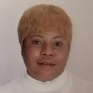 Addetta alle pulizie Rodengo Saiano e paesi limitrofi