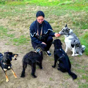 Dog sitting north London/Enfield/walks in beautiful places 