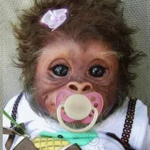 Baby-sitter  garde sur Valmont