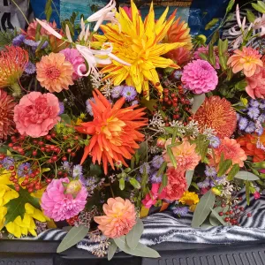 Bonjour je m' appelle Emilie employee de maison