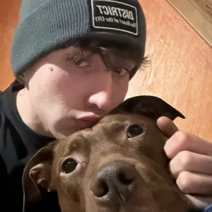 Cura e attenzione per i tuoi amici a quattro zampe