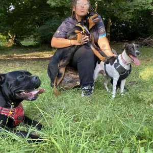 Service garde d'animaux