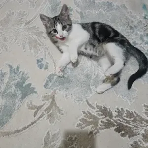 Je recherche une personne sérieuse 