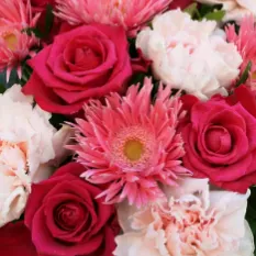 Garde temps plein de ma louloute de 21mois