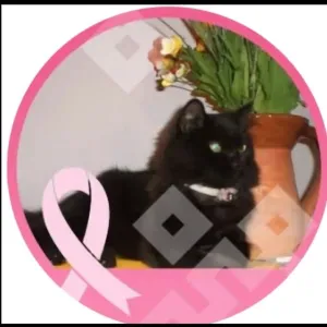 Je recherche une femme de menage