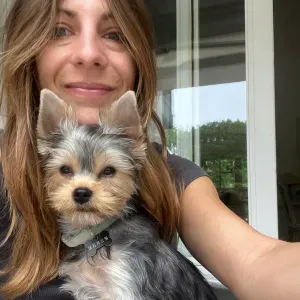 Balades et gardes avec amour – 6ᵉ arrondissement