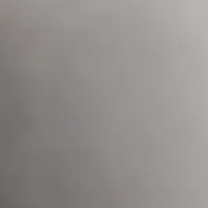 Babysitter esperta a alto reno terme