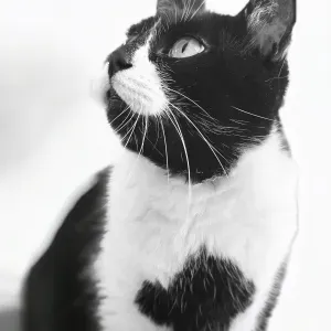 Aide à domicile près de Brive-la-Gaillarde 