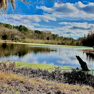 Je recherche une baby sitter