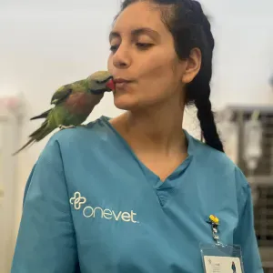 Pet Sitting no conforto do seu lar!