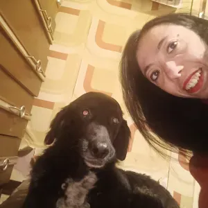 Dog sitter/ cat Sitter referenziata