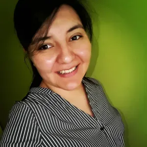 Cleaner Figueres, Roses , Empuriabrava