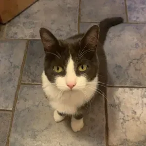 Baby-sitter aux alentours de Calais