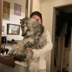 Pet-Sitter à Paris durant l'été!