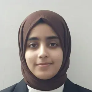 Professional Babysitter looking for a job.