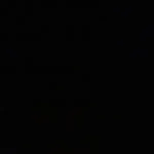 Pet sitting ocasional em Lisboa 