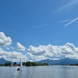 Je cherche une femme de ménage