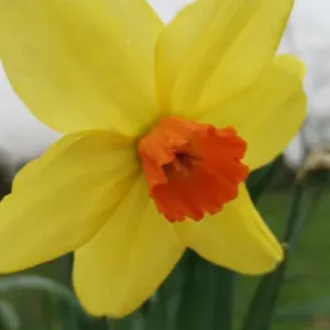 Autonome, ponctuel, digne de confiance et discrete.