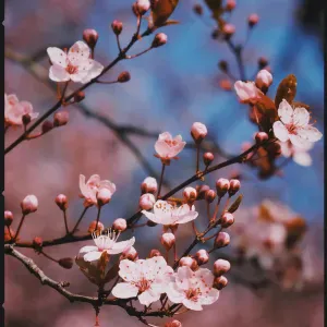 📚 Aide aux devoirs – de la primaire à la seconde 📚