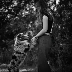 Pet sitter dans le 91, à Varennes jarcy et ses alentours 