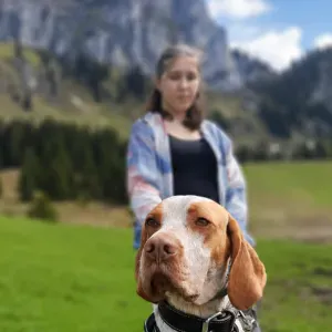 PET SITTER à Annecy (balades, visites à domicile) 
