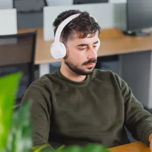 Looking for petsitter