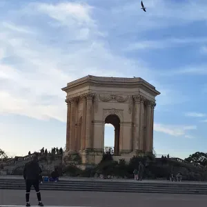 "Loving care for your fur babies"