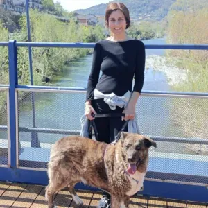 Pet sitting Genova e provincia