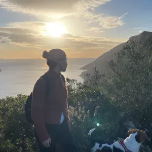 Pet sitting em Setúbal e arredores