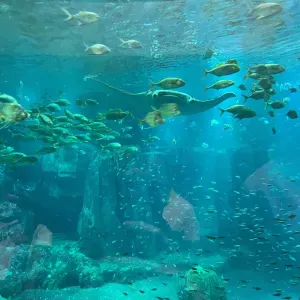 Nounou en periscolaire et mercredi