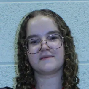 Baby-Sitter à Aigrefeuille Sur Maine 