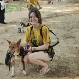 Balades, douceur et bonne humeur - Bois-Colombes