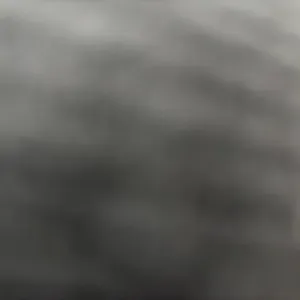 Dame de compagnie disponible immédiatement !