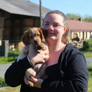 Pet-sitter entre compiegne et noyon