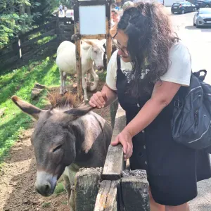 Canguro Albacete con experiencia 