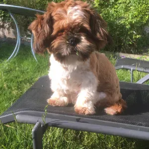 Garde vendredi 2 juillet