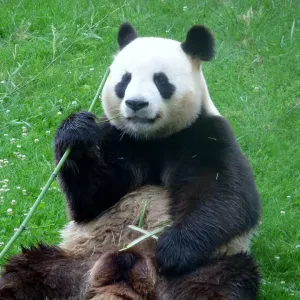 Emploi de femme de ménage Montierchaume