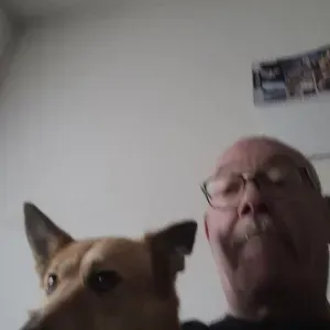 Je cherche une femme de ménage 