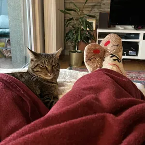 Recherche aide ménagère – jeunes parents de jumeaux