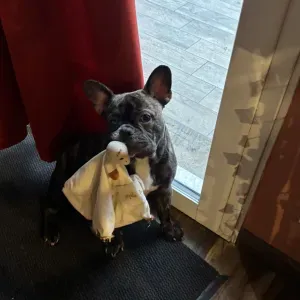 À la recherche d'une personne sérieuse 