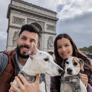 Cherche Promeneur et Gardien pour Deux Jack Russell