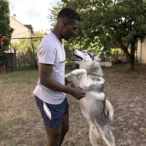 Pet-sitter à Nogent-sur-Marne 