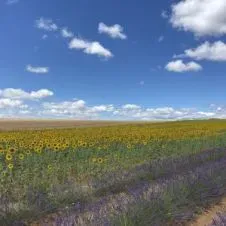 Looking for a baby sitter job