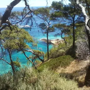 Lavoro come petsitter a Galzignano Terme