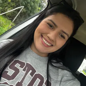 Limpeza disponível en almancil Loulé 