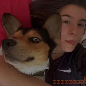 Pet-Sitter à Namur, diplômée en soins animaliers.