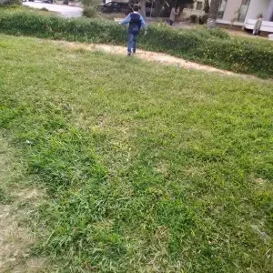 MENAGE  ET ENTRETIEN/ AIDE-PERSONNES AGEES  OU PMR