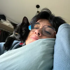 Pet-sitter vers port-de-bouc pour chouchouter vos animaux 