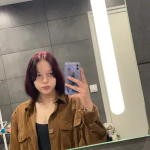 Garde de chiens ou chats aux alentours de Lille.